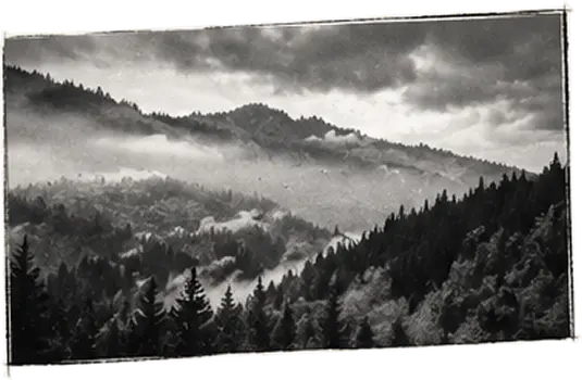 Misty mountains of Transylvania