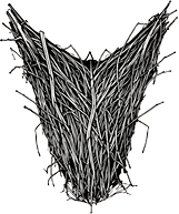 Ginen totem illustration, back view