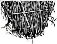 Detail: lower face construction